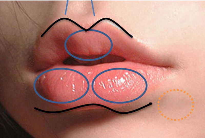 嘴唇的唇形和性格有关系吗？嘴唇美感一般的标准是什么？