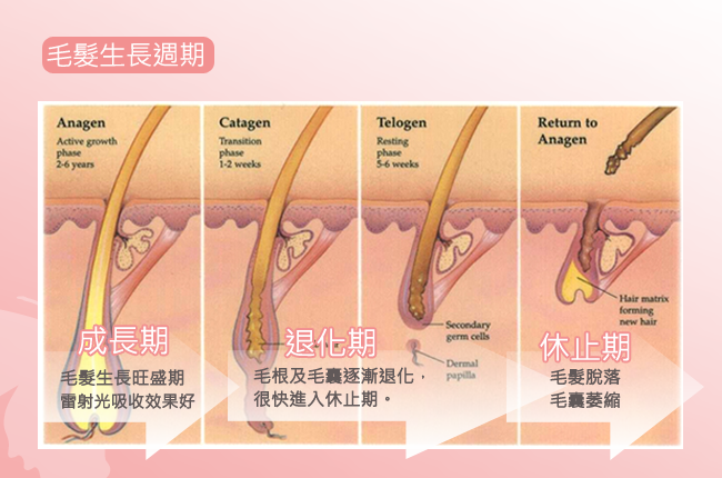 皮肤过敏可以做小腿抽脂吗？小腿抽脂后需要按摩恢复吗？