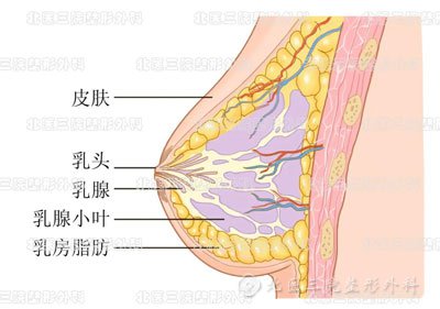 北医三院李比：按摩真的能丰胸吗？