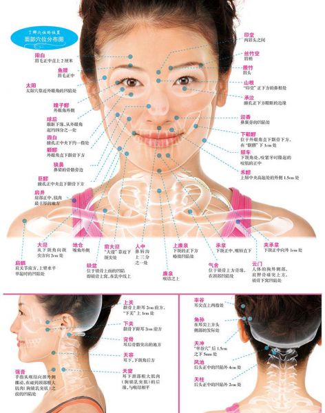 面部穴位图解，面部穴位图按摩美容技巧