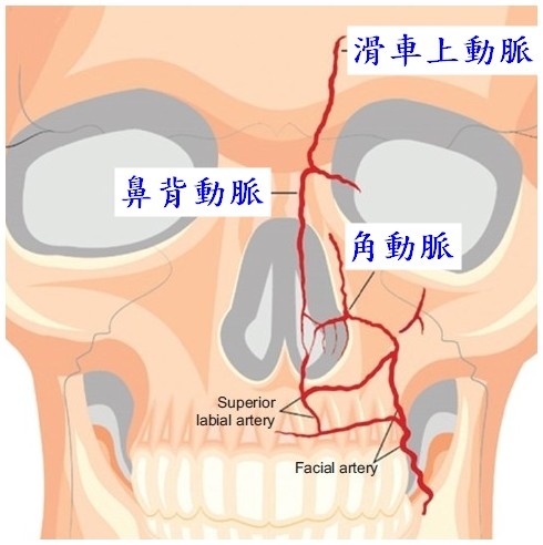 玻尿酸的副作用会导致失明吗？玻尿酸导致失明的原因是什么？