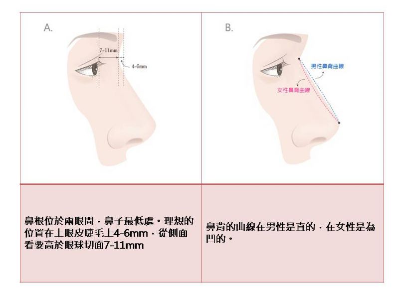 怎么样的鼻子才算是一个完美的鼻子呢？鼻型黄金比例详解