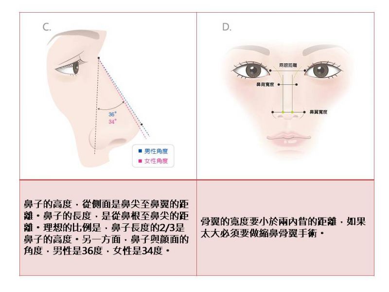 怎么样的鼻子才算是一个完美的鼻子呢？鼻型黄金比例详解