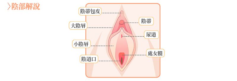 私密老化的表现和原因有哪些？阴道松弛女性荷尔蒙的减少