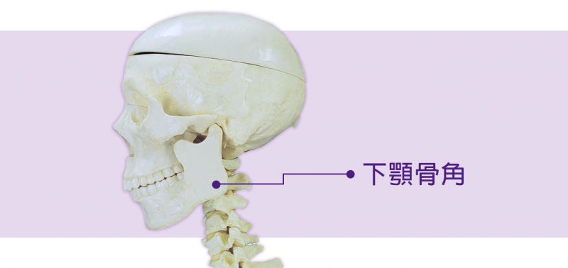 下颚骨角(腮帮子)磨腮削骨手术简介