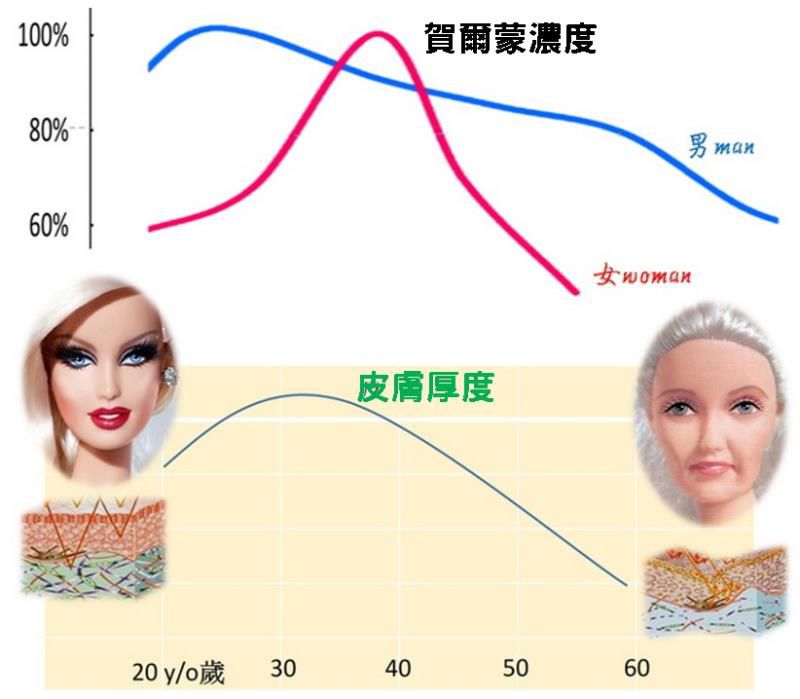 决定美貌漂亮保鲜期秘密在哪里？法令纹眼袋脸颊老化怎么办？