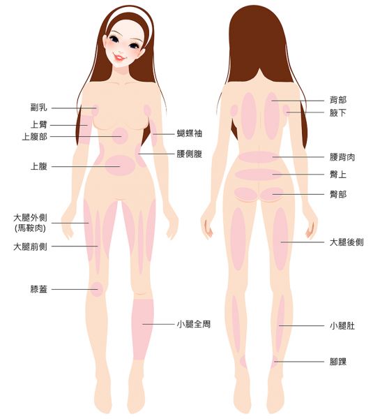 自体脂肪移植胸关键在于脂肪的成活率多少？丰胸脂肪可抽取的部位？