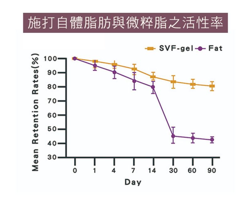 自体脂肪3.0：微粹脂SVF-gel ─ 什么是自体脂肪干细胞 