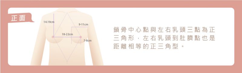 乳房比例大小多少适合身型？评美帮教你找出胸部的「黄金比例」