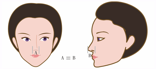 怎么判断鼻型是否合乎黄金比例标准评估？