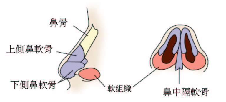 缩鼻翼、做鼻头或是鼻小柱可以一起做吗？