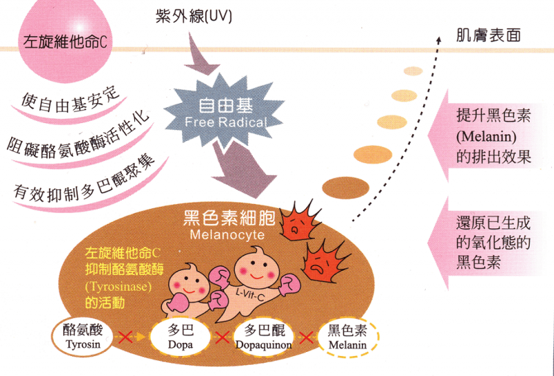 青春痘、毛孔粗大、粉刺、暗沉、黑色素沉淀果酸换肤效果好吗？