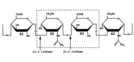 玻尿酸结构是怎么样的？一级二级三级结构玻尿酸